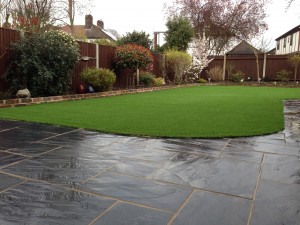New Eltham Grass